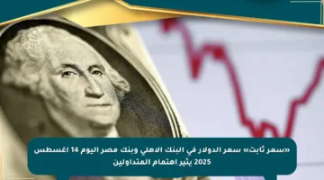 «سعر ثابت» سعر الدولار في البنك الأهلي وبنك مصر اليوم 14 أغسطس 2025 يثير اهتمام المتداولين